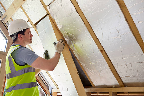 Best Garage Insulation Installation  in Cross Plains, WI